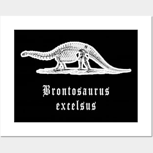 🦖 Fossil Skeleton of a Brontosaurus excelsus Dinosaur Posters and Art